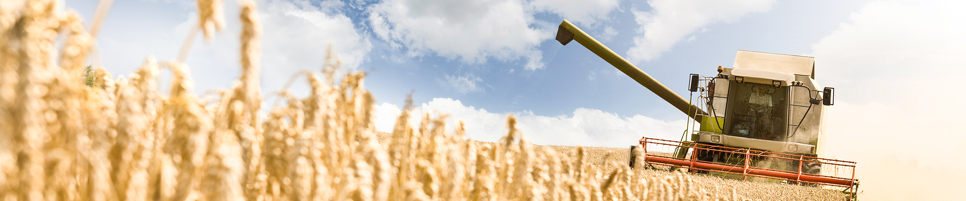 Abschlepphaken 1348135080 – Aus Geschmiedetem Stahl, Ersatz Für Relay, Ducato Ab 2006
