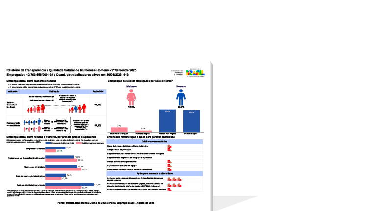 waelzholz-brasmetal-relatorio-de transparencia-salarial-01-2024